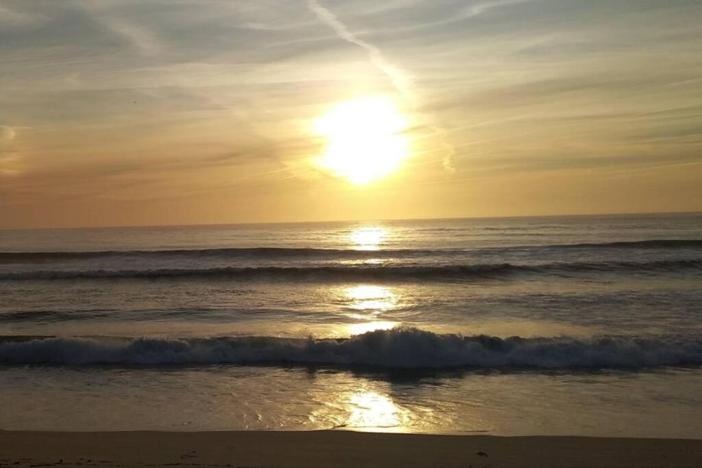 Azurara Beach Large And Sunny Apartment Arvore Ngoại thất bức ảnh